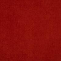 Audinys Grace 40 Tomato