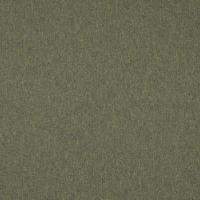 Audinys Jazz CS 13 Light green 9706