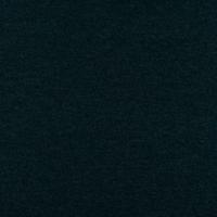 Audinys Barnum 20 Petrol