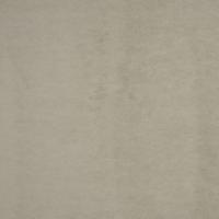 Audinys Regent 4061 Straw