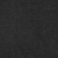 Audinys Regent 0112 Steel