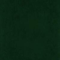 Audinys Ritz 6726 Dark green