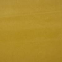 Audinys Ritz 6100 Light green