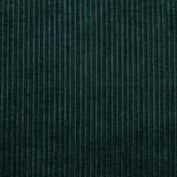 Audinys Vegas G204 Petrol