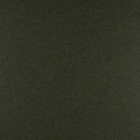 Audinys Wooly 1011 Bottle green