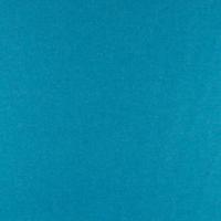 Audinys Wooly Plus 0106 Turquise