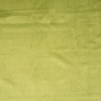 Audinys Musone 73 Kiwi