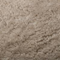 Avikailis Canberra Moonlight