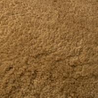 Avikailis Canberra Maple