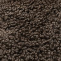 Avikailis Canberra Root