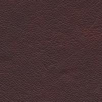 Oda Lambada English Red 5055