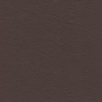 Oda Linea 612 Castagna