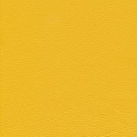 Oda Linea 619 Giallino