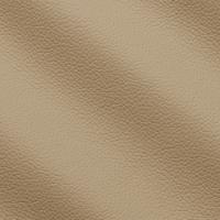 Oda Prescott 253 Penicillin