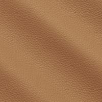 Oda Prescott 221 Lion