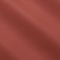 Oda Prescott 240 Begonia