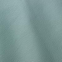 Oda Prescott 265 Lichene