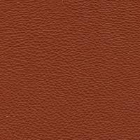 Oda Prescott 289 Hezelnut