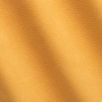 Oda Kairos 1707 Duck Bill