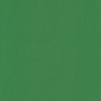 Audinys Delinova 75 Green 6217, b=150 cm