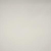 Sicura P-304 Silver