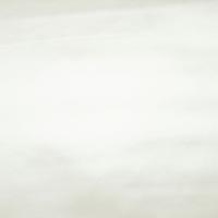 PU Star Satin Bianco/White