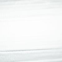 PU Star Satin Plata/Silver