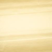 PU Star Satin Oro/Gold