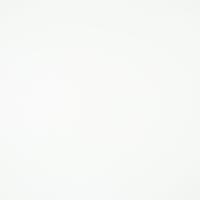PU Pallas 021600 White