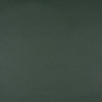 PVC Apollo 861 Dark green