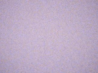 Audinys Coco 9592 Lavender Audinys Coco 9592 Lavender