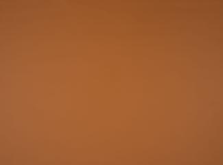 PU Illusion III 44184 Buckskin PU Illusion III 44184 Buckskin