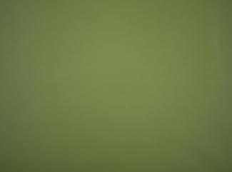 PU Illusion III 73677 Cedar green PU Illusion III 73677 Cedar green
