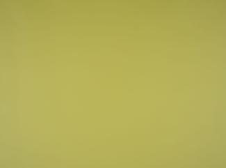 PU Illusion III 74007 Linden green PU Illusion III 74007 Linden green