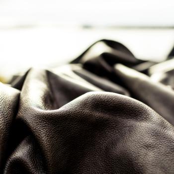 Laikinai užsakoma oda