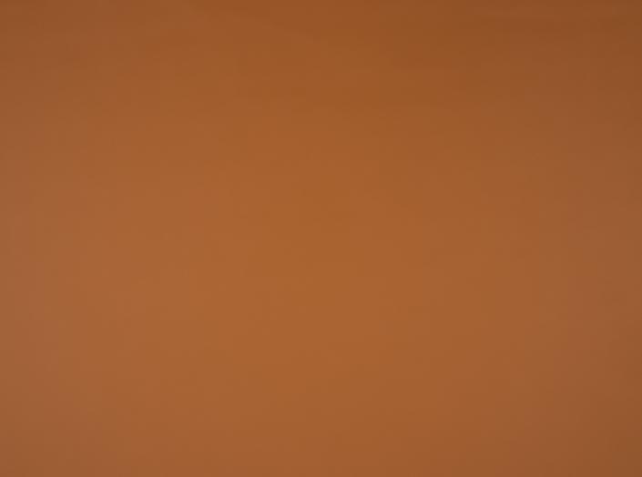 PU Illusion III 44184 Buckskin PU Illusion III 44184 Buckskin