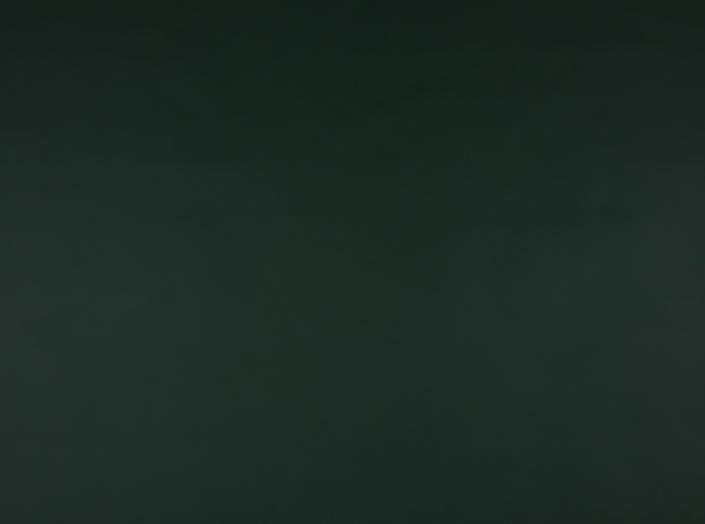 PU Illusion III 77773 Dark green PU Illusion III 77773 Dark green