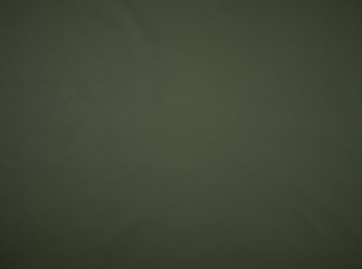 PU Illusion III 76296 Dusty olive PU Illusion III 76296 Dusty olive