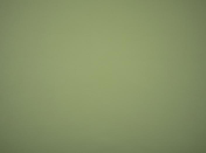 PU Illusion III 71220 Sage PU Illusion III 71220 Sage