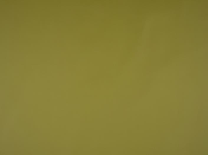 PU Illusion III 76236 Green PU Illusion III 76236 Green