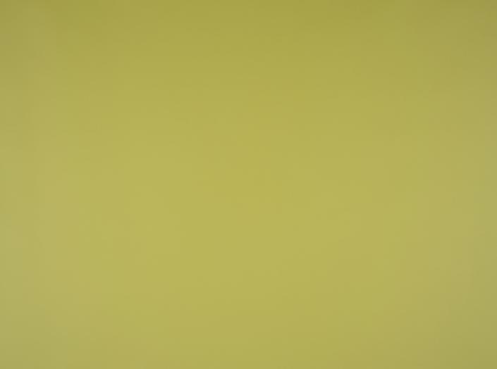 PU Illusion III 74007 Linden green PU Illusion III 74007 Linden green