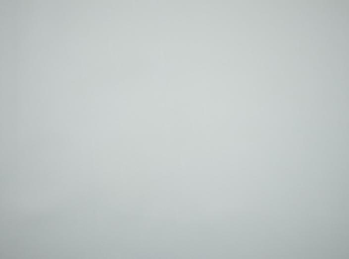 PU Illusion III 53350 Moonstuck PU Illusion III 53350 Moonstuck