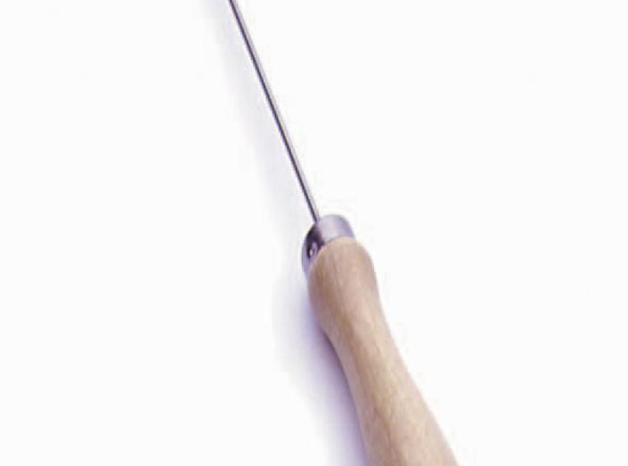 Yla (adata) su kabliuku kilpelei įverti, l=170 mm Yla (adata) su kabliuku kilpelei įverti, l=170 mm